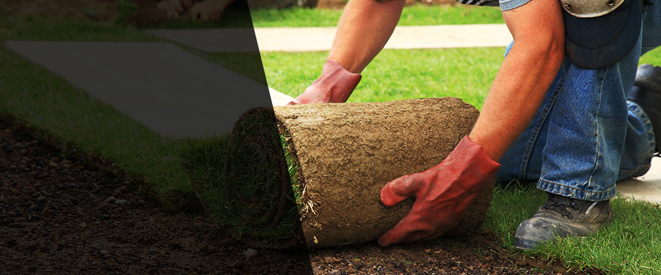 Chanute Landscapers